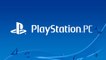 La création du label Playstation PC par Sony indique qu'il est sérieux