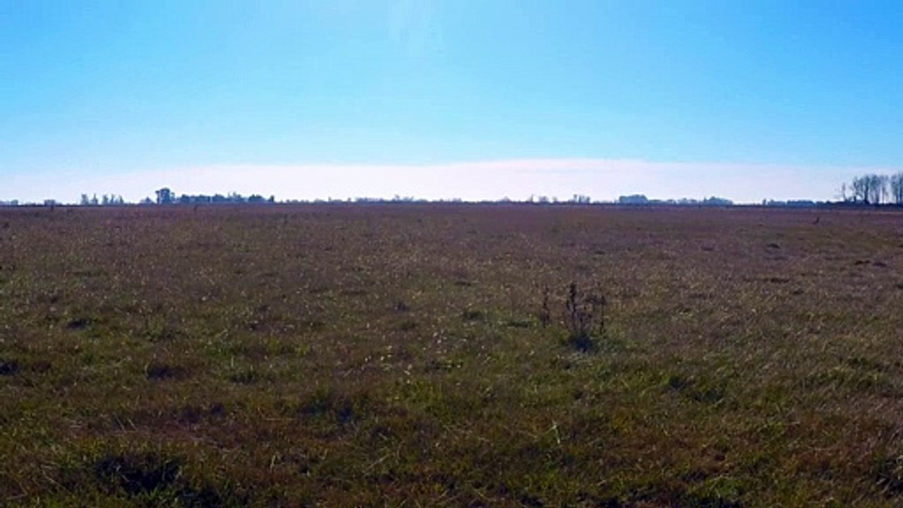 Hermosas Flores en la Naturaleza - Sonidos de la Naturaleza | Matías HD