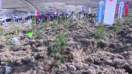 Erciyes Dağı eteklerine 2 bin fidan dikildi