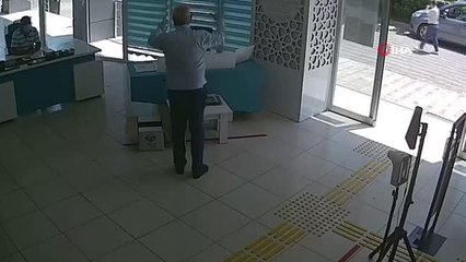 Bacağı ve kulağı kopan, kutu içinde belediyeye bırakılan kedi, yaşam savaşını kazandı