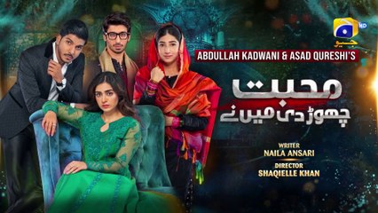 Mohabbat Chor Di Maine - Episode 27 - 28th October 2021 - HAR PAL GEO