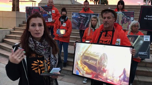 L214 diffuse de nouvelles images choc filmées dans un abattoir, des militants à la rencontre des habitants de Saint-Raphaël