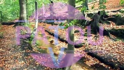 Maisons-le-Ruisseau - Patou et Albert