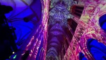 Espetáculo de imersão a 360 graus na catedral de Lyon