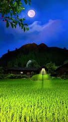 Wallpaper 3d live wallpaper nature village