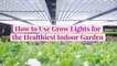 How to Use Grow Lights for the Healthiest Indoor Garden