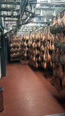 Visitando Prosciuttificio San Nicola (Corniglio), uno de los templos del Prosciutto di Parma