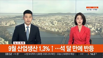 [속보] 9월 산업생산 1.3%↑…석달만에 반등