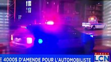 Idiots In Cars