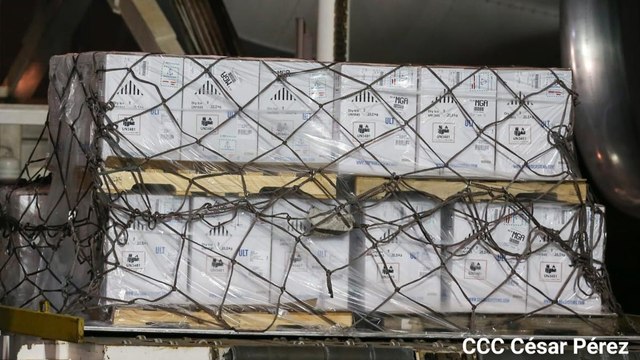 Llegan a Nicaragua más de 300 mil dosis de vacunas Pfizer donadas por Estados Unidos