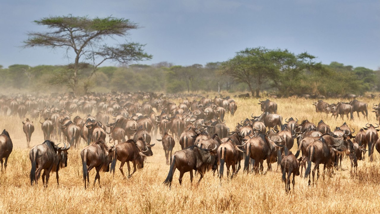 This Solo Travel Company Is Back With 17 New Trips — From Tanzania to Iceland