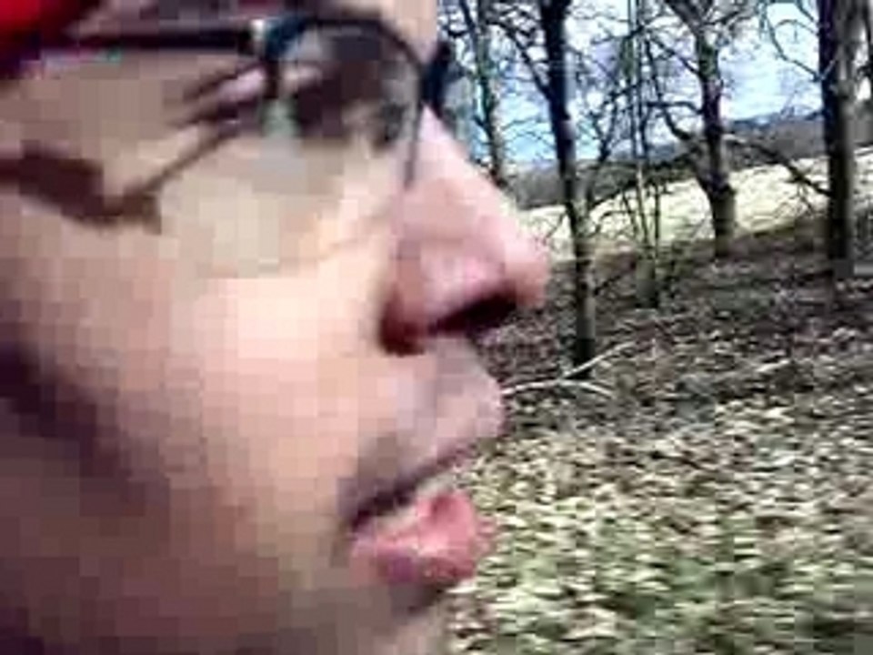 03032008046