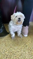 They're Each Cute in Their Own Way