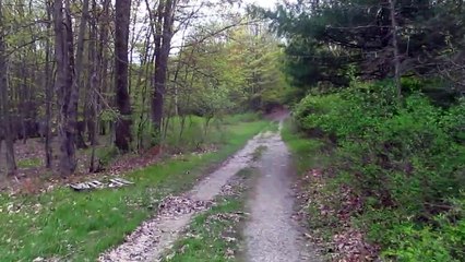 Hike Up Ascending at Ithaca College Natural Lands