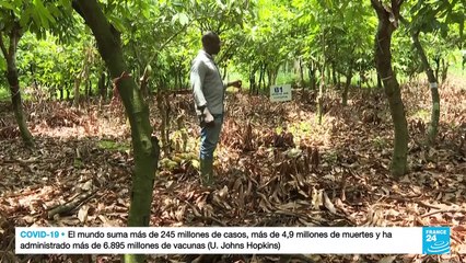 El Salón del Chocolate abrió sus puertas en Versalles, pero esconde una realidad amarga