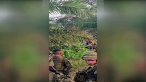 'Cocaleros' libertam 180 militares colombianos