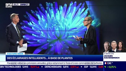 Culture Geek : Des éclairages intelligents... à base de plantes, par Anthony Morel - 29/10