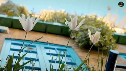 US (Official Video) Sidhu Moose Wala _ Raja Kumari _ The Kidd _ Sukh Sanghera _