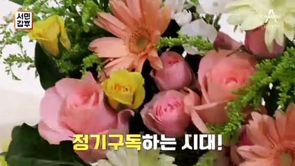 [예고] 꽃을 정기구독 받는 사람들?! 꽃 하나로 120억 원을 번 남자