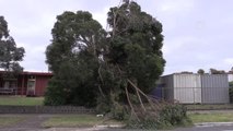 MELBOURNE - Avustralya'da şiddetli rüzgar nedeniyle binlerce ev elektriksiz kaldı
