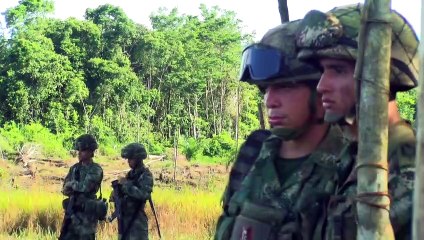 إطلاق سراح 180 جنديا كولومبيا بعد احتجازهم على يد مزارعي الكوكا