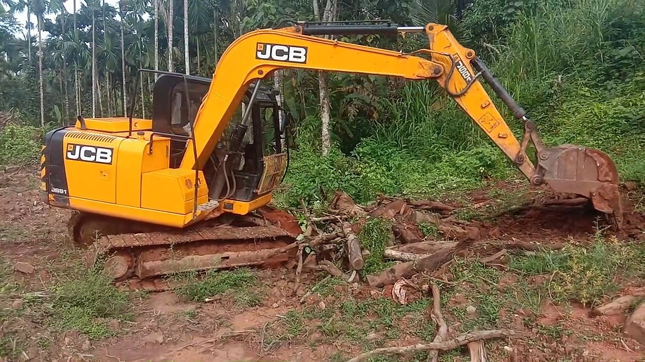 JC 81 Excavator cleaning forest