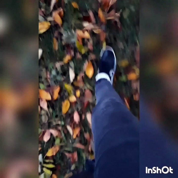 Ich hab geträumt  von ihr *Corona Tag 589