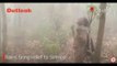 Dancing In The Rain: A woman Forest Guard Breaks Into A Dance As Showers Douse Simlipal Forest Fire