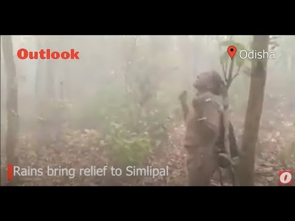 Dancing In The Rain: A woman Forest Guard Breaks Into A Dance As Showers Douse Simlipal Forest Fire