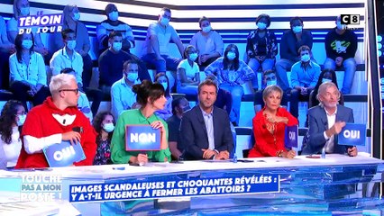Pendant un débat sur la maltraitance animale et les abattoirs en direct dans TPMP, Cyril Hanouna recadre Gilles Verdez: "Arrête d'être démago comme ça, c'est insupportable!"