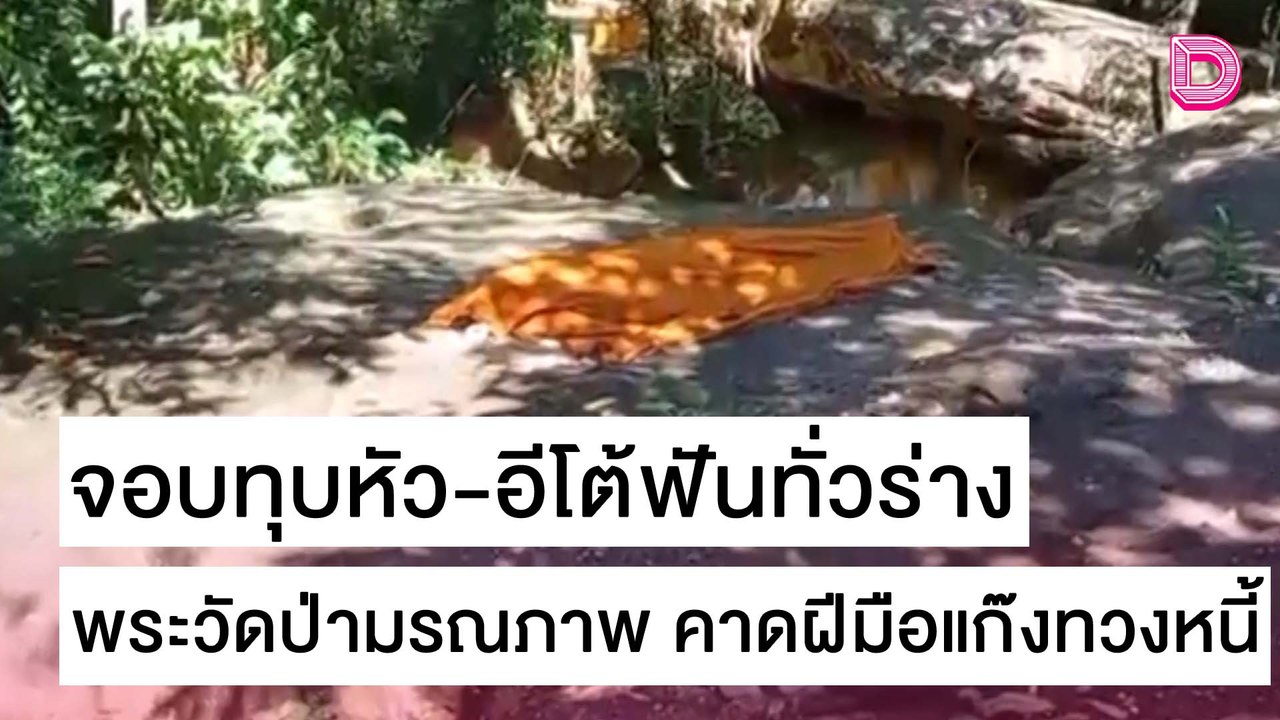 จอบทุบหัว-อีโต้ฟันทั่วร่าง พระวัดป่ามรณภาพ คาดฝีมือแก๊งทวงหนี้ | ชนคลิปข่าว 29/10/64 เดลินิวส์