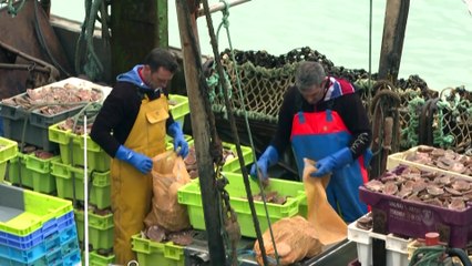 Disputa das pescas no Canal da Mancha sobe de tom