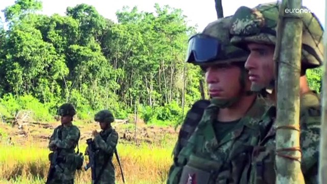 Liberados 180 soldados retenidos por grupos de cocaleros en Colombia