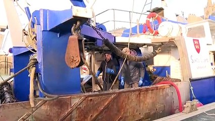 Pêche post-Brexit: des pêcheurs de Granville demeurent inquiets