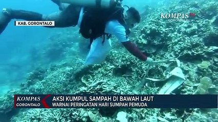 Aksi Kumpul Sampah Di Bawah Laut Warnai Peringatan Hari Sumpah Pemuda