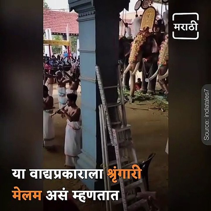 This Wonderful Video From Keral Will Make Your Day