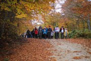 Domaniç Dağları'nda 29 Ekim Cumhuriyet Doğa Yürüyüşü yapıldı