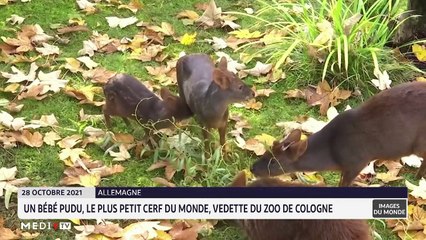 Images du Monde - 29/10/2021