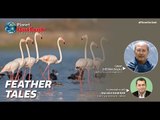 Outlook Planet: Deepak Dalal, speaks on his love for nature & birds