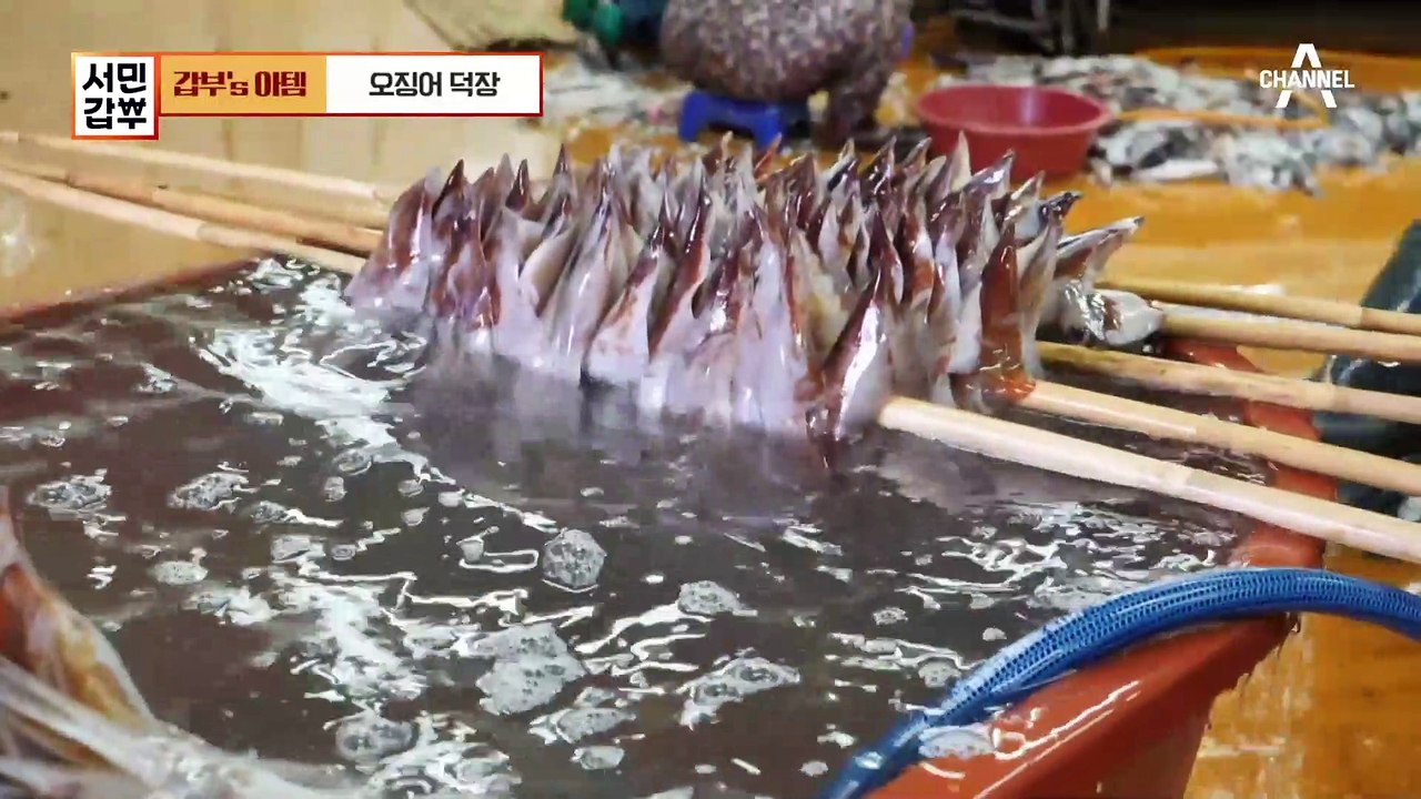 영덕 해풍을 품은 춐춐한 반건조 오징어♬ 연 매출 7억 오징어 덕장의 매출 비결!