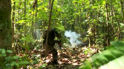 Guyane: dans la jungle, l'éprouvante formation de militaires au combat et à la survie