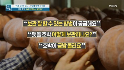 꿀팁 대방출! 좋은 맷돌 호박의 조건부터 보관법까지