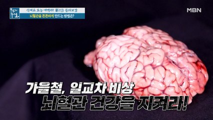 가을철, 일교차 비상! 뇌혈관 건강을 지켜라