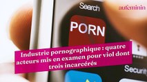 Industrie pornographique : quatre acteurs mis en examen pour viol dont trois incarcérés