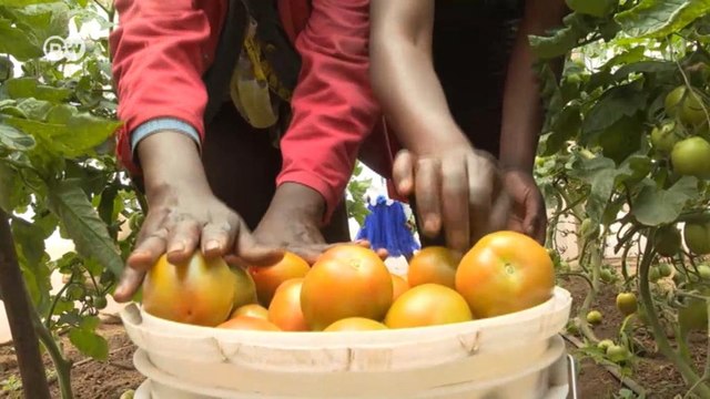 Fruitful farming amid droughts