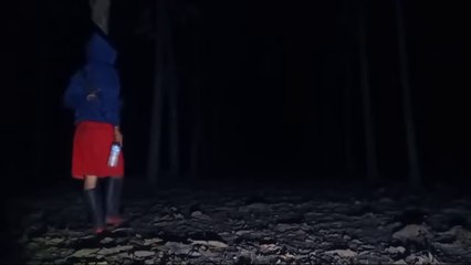 The ghost flies over the host's head and descends in front of him