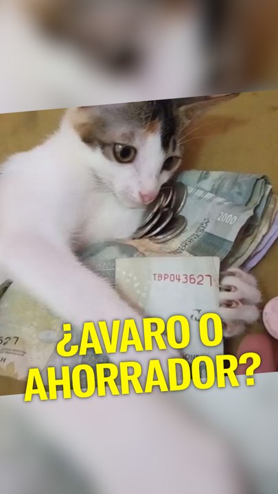 ¿Avaro o ahorrador?