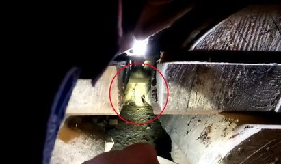 Son dakika haberi... KERESTELERİN ARASINA SIKIŞAN YAVRU KÖPEĞİ İTFAİYE KURTARDI