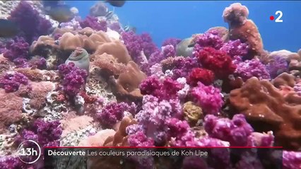 Thaïlande : les couleurs paradisiaques de Koh Lipe