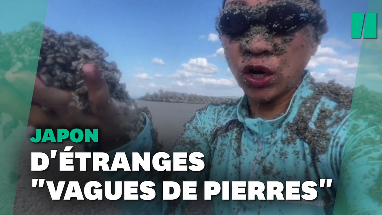 D'importantes "vagues de pierres ponces"envahissent des côtes du Japon